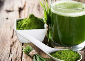 wheatgrass juice