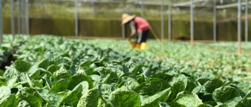 USA and its Organic Farming Statistics