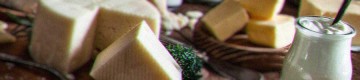 Milk and Cheese on table
