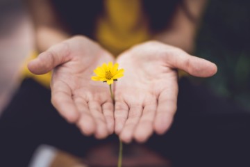 hand exercises