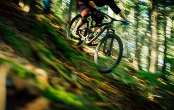 mountain bike