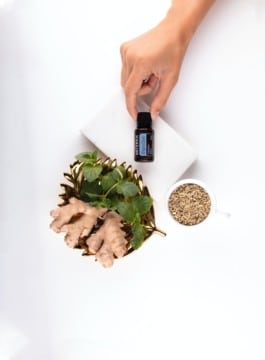 L-Carnitine