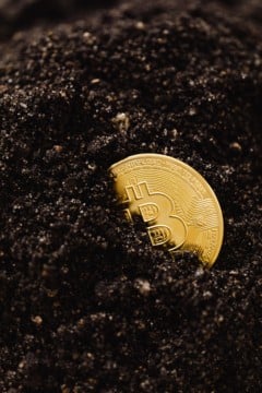 blockchain sustainable