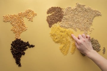 magnesium food lentil