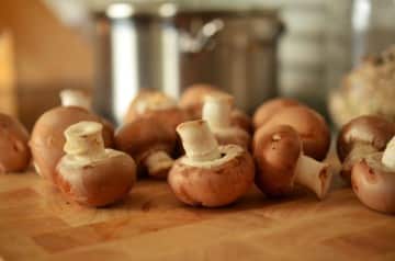 Steaks Made of Mushrooms: A Review of Meati Foods