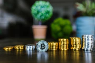 What Are the Most Sustainable Cryptocurrencies?